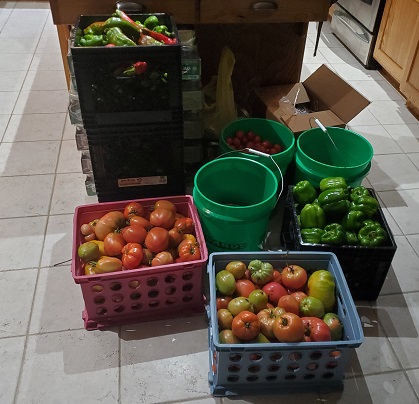 End of year harvest