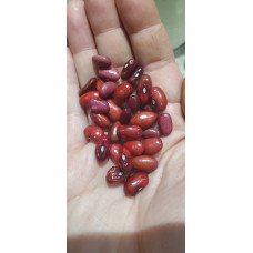Red Silk Bean Seeds